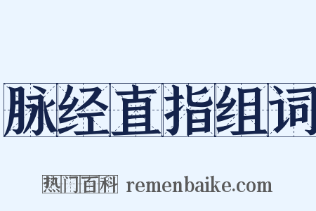 脉经直指组词是什么意思的图片